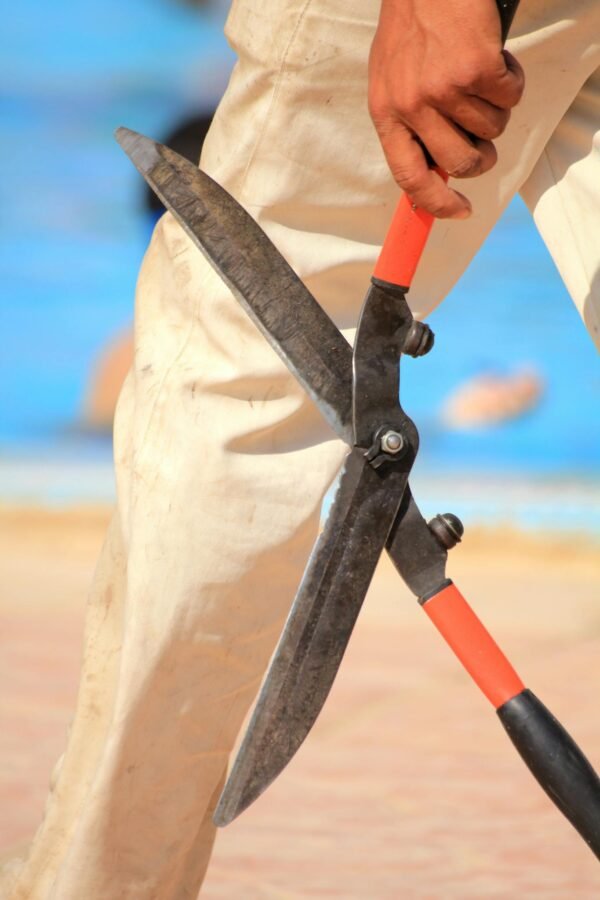 Crop gardener walking with pruners