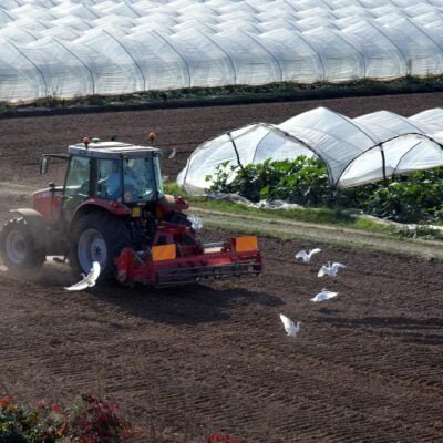 Tractor harrowing Soil in a Plantation Land