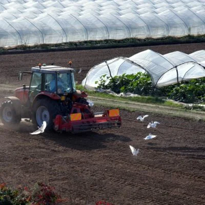 Tractor harrowing Soil in a Plantation Land 