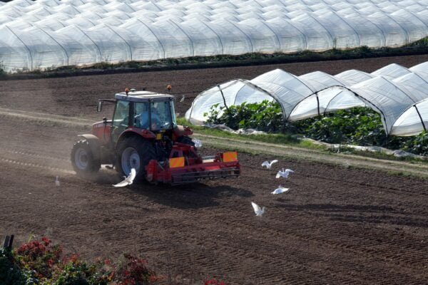 Tractor harrowing Soil in a Plantation Land